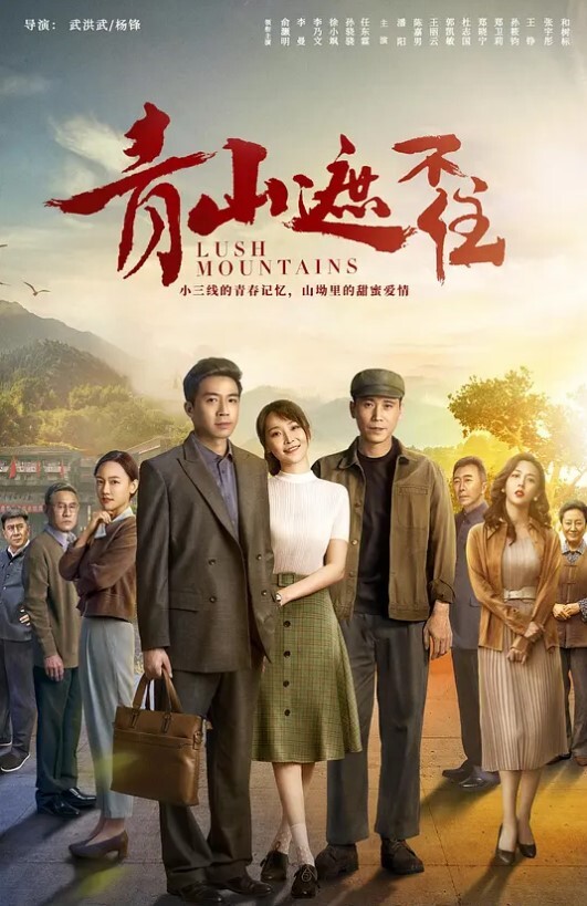 20205994050用户上传超美的OL从下班吃饭抄底到下地铁回家 - 91AV海报